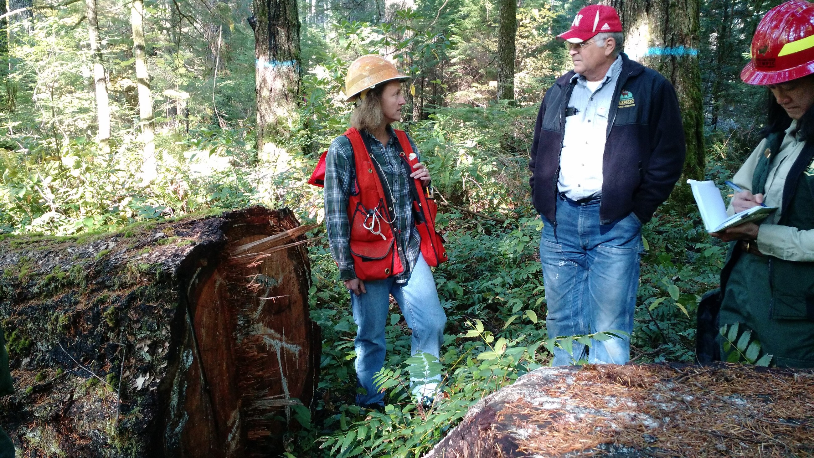 Forest scientists and recreation staff review tree disease at Falls View Campground in October 2017.